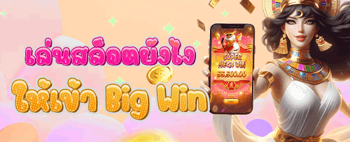 คืนเงินยอดเสียรายวัน VIP promotion